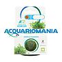 Aquafleur Easy Grow Pianta Didiplis Diandra in Vitro Cup