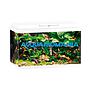Juwel Acquario Primo 70 Litri Led Bianco mis. 61x31x44H cm