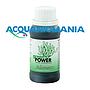 Planctontech Green Power Spirulina concentrata congelata 50ml