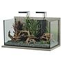 Zolux Acquario Idro 60 Zebrano Grigio 63x35x41,5cm 60 litri