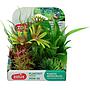 Zolux PlantKit Mini 2 Assortimento 6 piantine in plastica