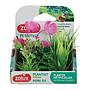 Zolux PlantKit Mini 1 Assortimento 4 piantine in plastica