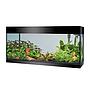 Askoll Acquario Pure LED XL Absolute Black 76x36x43,5h cm 94Lt