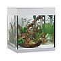 Askoll Acquario Pure LED M White 36x36x43,5h cm 44Lt