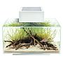 Askoll Acquario Fluval Edge 2.0 Led e Luce lunare 23Lt White 43x26x22,4