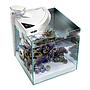 Newa More 50 Reef Acquario Marino Completo di Illuminazione a Led Dual Touch 45 l Bianco