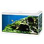 Ciano Aquarium Acquario Aqua 60 Pro Bianco 58 litri 60x30x32h cm